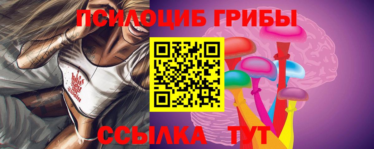 Галлюциногенные грибы прущие грибы  где продают наркотики  Отрадное  Вход с VPN 